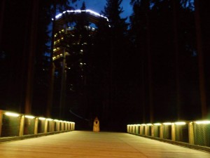 Каждую субботу до 24.00 час. вы сможете устроить своей любимой романтическую прогулку на высоте 40 метров в кронах деревьев 
